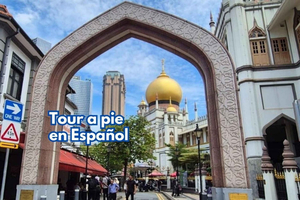 3-timers vandring i Chinatown, Little India og Arab Street SPANISH Walking Tour