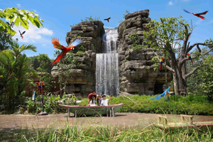 Bird Paradise Entry Ticket with Hotel Transfer