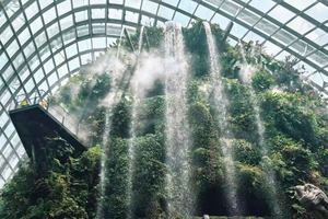 Singapura: Ingresso para Cúpula das Flores + Floresta das Nuvens