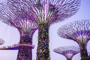 Gardens by the Bay – Cloud Forest – Flower Dome – przewodnik i bilet