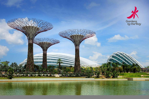 Billet pour Gardens by the Bay avec déjeuner buffet au Rise