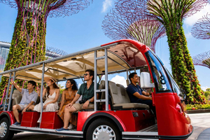 Guided City Tour with Gardens by the Bay Visit