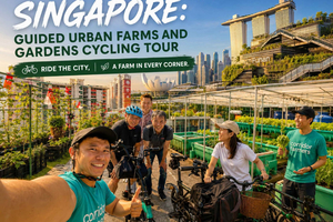 Guided Urban Farms and Gardens Cycling Tour