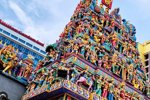 Little India 2H Walking Tour with Guide