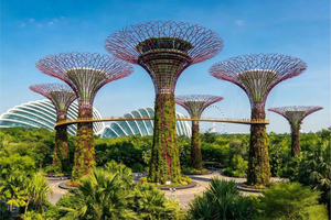 Museum, Gardens & Live Concert Day Experience