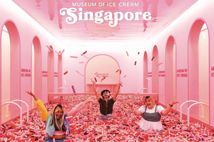Museum of Ice Cream Entry Ticket with Hotel Transfer