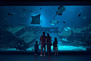 Oceanarium Entry Ticket with 1-Way Transfer