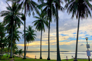 Private Scenic Cycling Tour with a Photographer