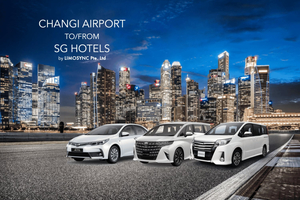 Singapur: Flughafentransfer innerhalb deines Budgets