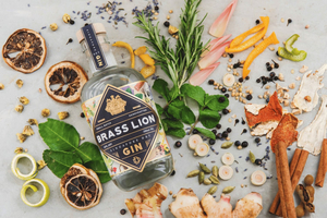 Singapore: Biglietto per l'esperienza di degustazione guidata di Gin del Brass Lion