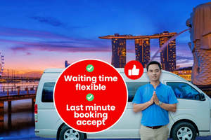 Singapore: transfer privato dall'aeroporto di Changi da/verso l'hotel