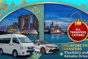 Singapore: Changi SIN Airport to Downtown Private Transfer
