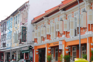 Singapore Chinatown Walking Tour – From Vice to Vibrancy