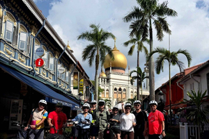 Singapour : visite à vélo des temps forts de la ville (visite patrimoniale de 4 heures)