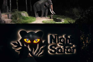 biglietto d'ingresso per il Safari Notturno
