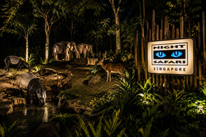Singapura: Night Safari com Passeio de Bonde, Jantar e Busca no Hotel