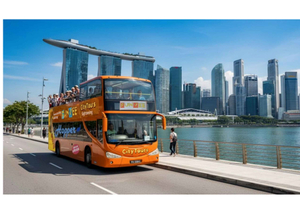 Bustur i åben bus i Singapore og tur med julebelysning