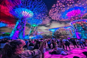 Singapore River Cruise and 2 Must-see Water Light Shows