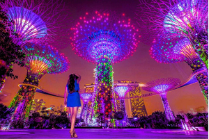 Singapur-Flusskreuzfahrt, Spectra & Garden Rhapsody Lichtshow