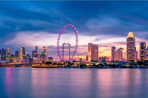 Сингапур: входной билет на Singapore Flyer