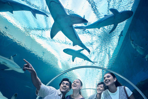 Singapore: Singapore Oceanarium Entrance E-Ticket