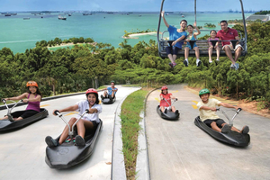 Singapore: Entrébillet til Skyline Luge Sentosa