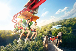 Singapour : billets d'entrée Universal Studios Singapore + carte SIM M1