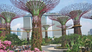 10 Curiosidades sobre Singapura