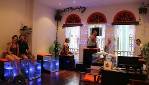 Alleviate Fish Spa
