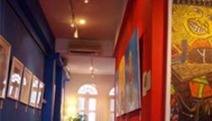 Dahlia Gallery