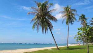 East Coast Park