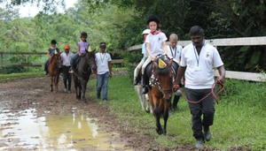 Gallop Stable