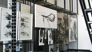 INSTINC Gallery