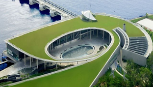 Marina Barrage