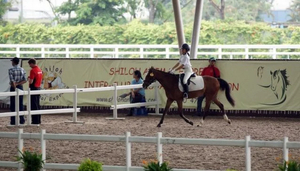 Singapore Turf Club Riding Centre