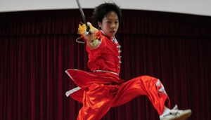 Sino Wushu