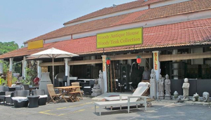 Woody Antique House