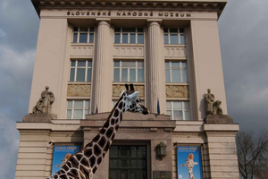 Bratislava: Eintrittskarte zum Naturkundemuseum