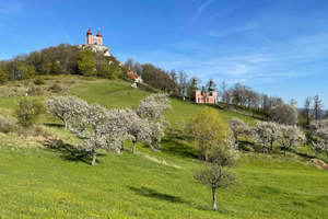 Da Bratislava: escursione alla città UNESCO di Banská Štiavnica