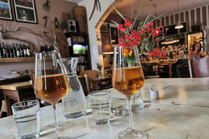 From Bratislava: Organic Wine Tasting in Svaty Jur