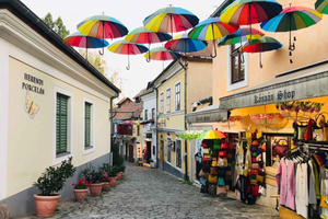 Från Budapest: Rundtur i konstnärsbyn Szentendre