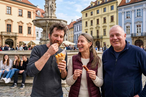 Private Cultural Walk Through Historic Bratislava