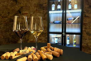 Quick Wine Tasting in Michalská