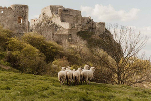 The 5-Castle Trail: A Cross-Border Journey