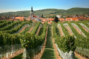 Slovakia's Winter Wonders: Best Experiences for the Season