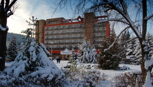 City Hotel Park