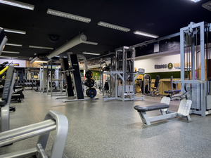Fitness & wellness centrum