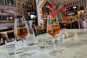 Fall Wine Tasting in Slovakia: Indulge in Rich Flavors and Vineyard Scenery