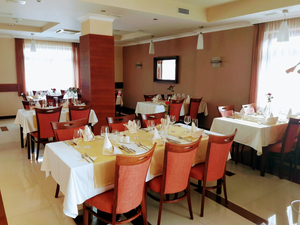 Hotel KARPATY