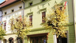 Hotel U Leva